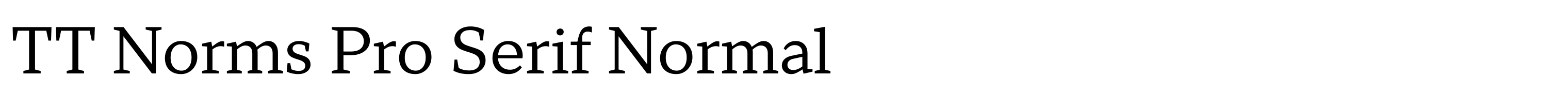 TT Norms Pro Serif Normal